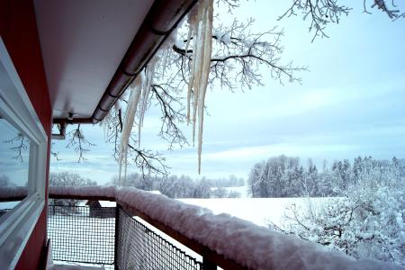 Winter_Baumhaus 2.jpg