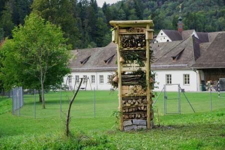Fischingen4.JPG