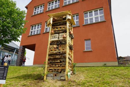 Gelfingen5.JPG