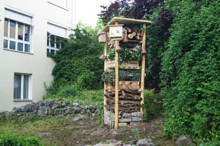 Hitzkirch4.JPG