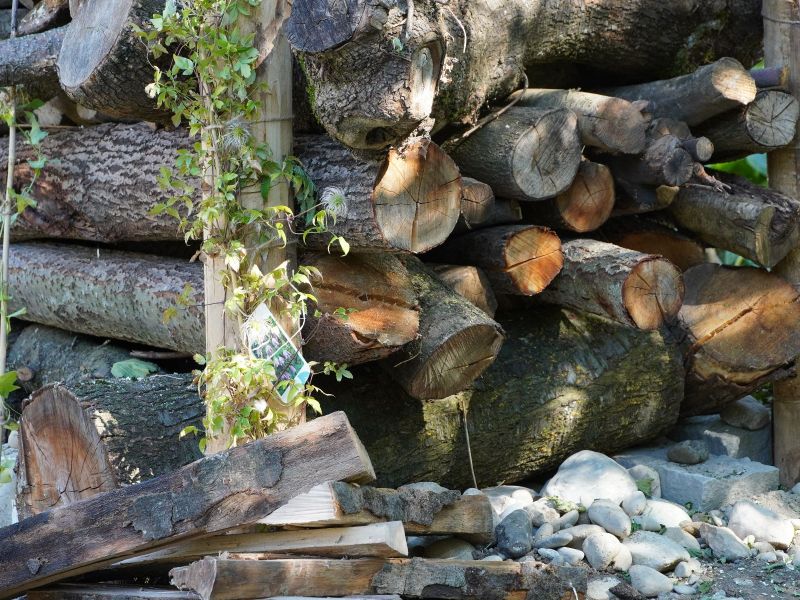 Bauelemente Lebensturm Altholz