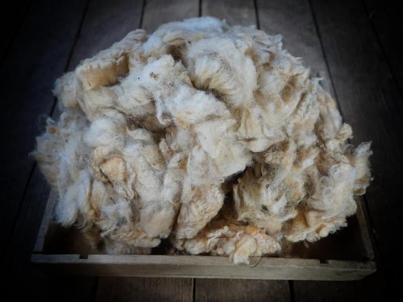 Lebensturm Füllmaterialien Schafwolle