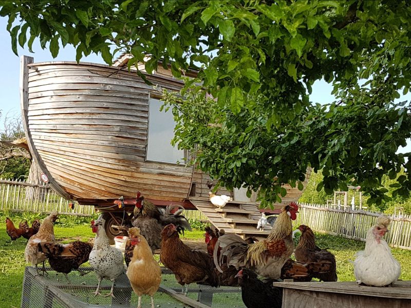 Arche Spitzhauben Hühner Schule auf dem Bauernhof SchuB