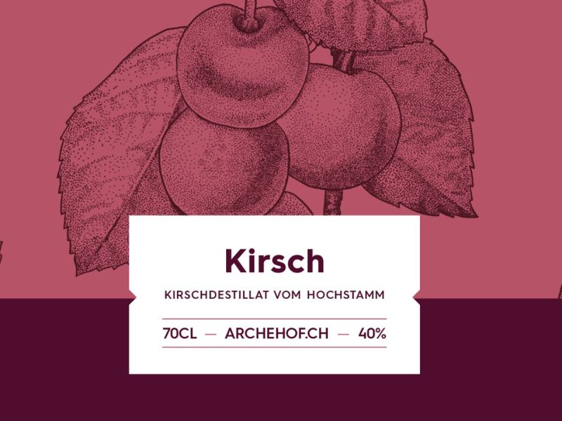 KIRSCH_2000_1000_px_slides.jpg